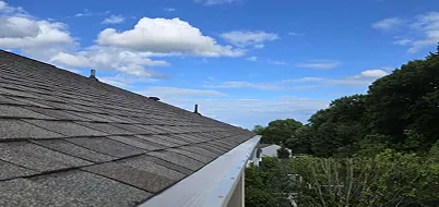 Gutter Cleaning